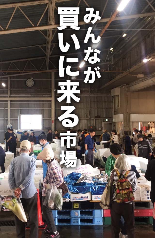 鳴門地方卸売市場 徳島県鳴門市の鳴門地方卸売市場は 誰でも買いに来ていただける開かれた市場 です 旬で新鮮なおいしい野菜 くだもの お魚を探しにお気軽にお越しください ７時半から朝市も開催しています